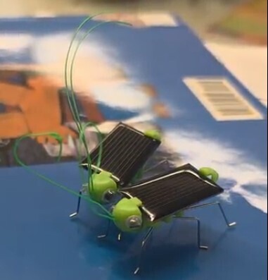 Bug Bot