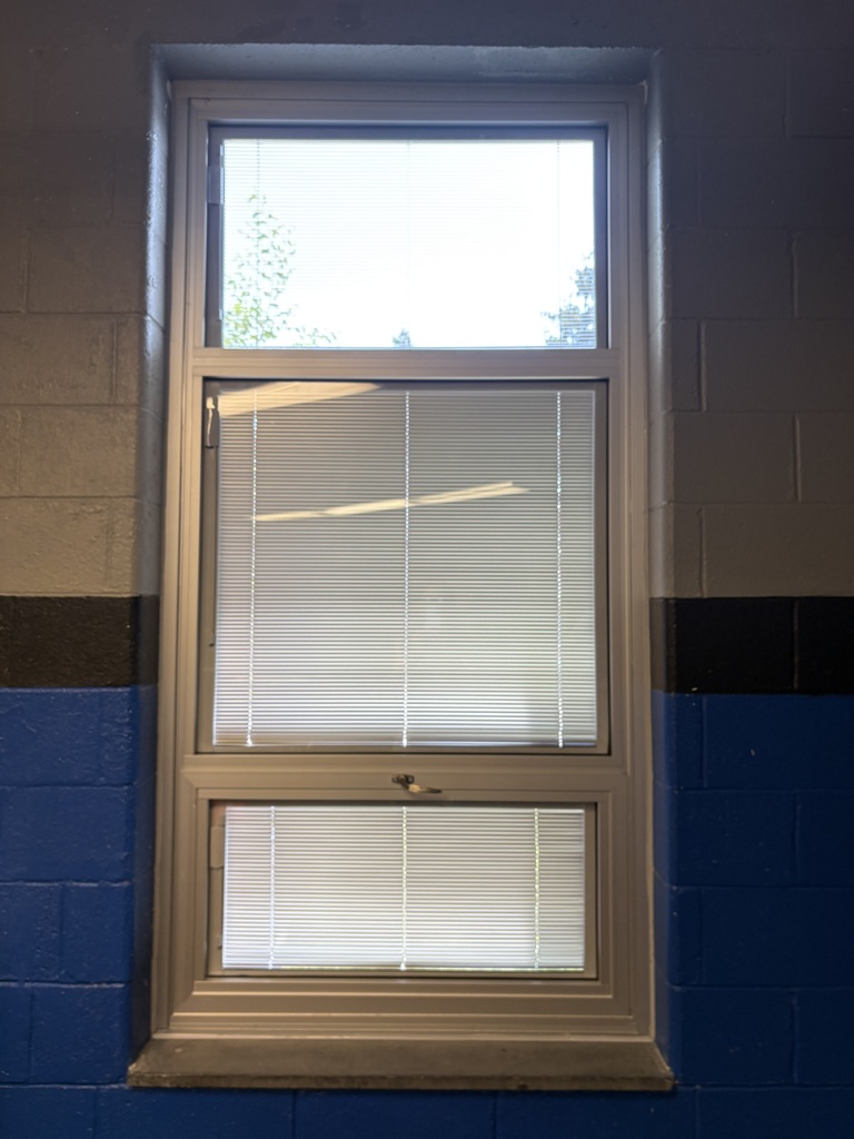 Window