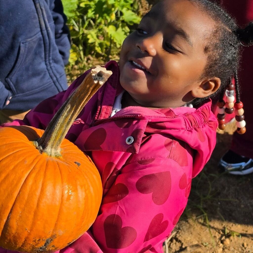 Prek K Field Trip to a Farm
