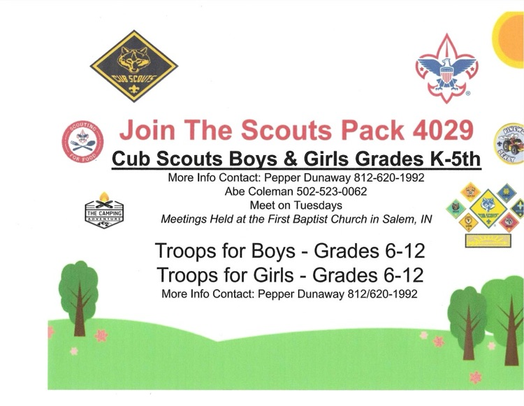 cubs scouts 