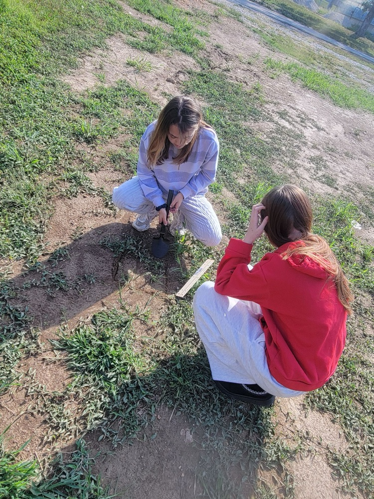 Ecology students making a water still