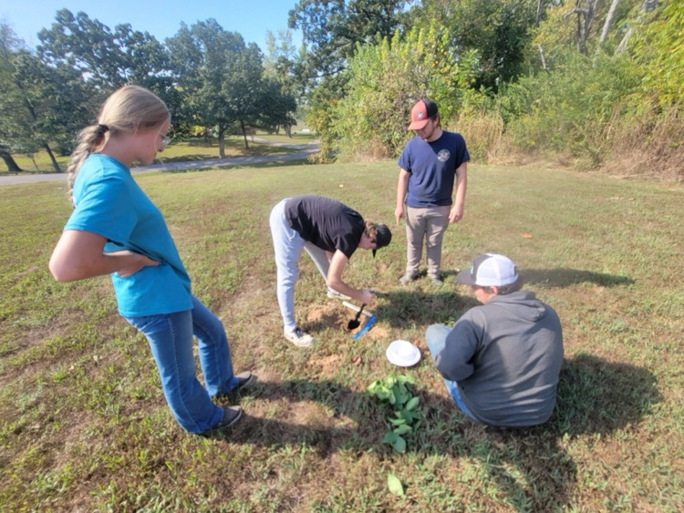 Ecology students making a water still