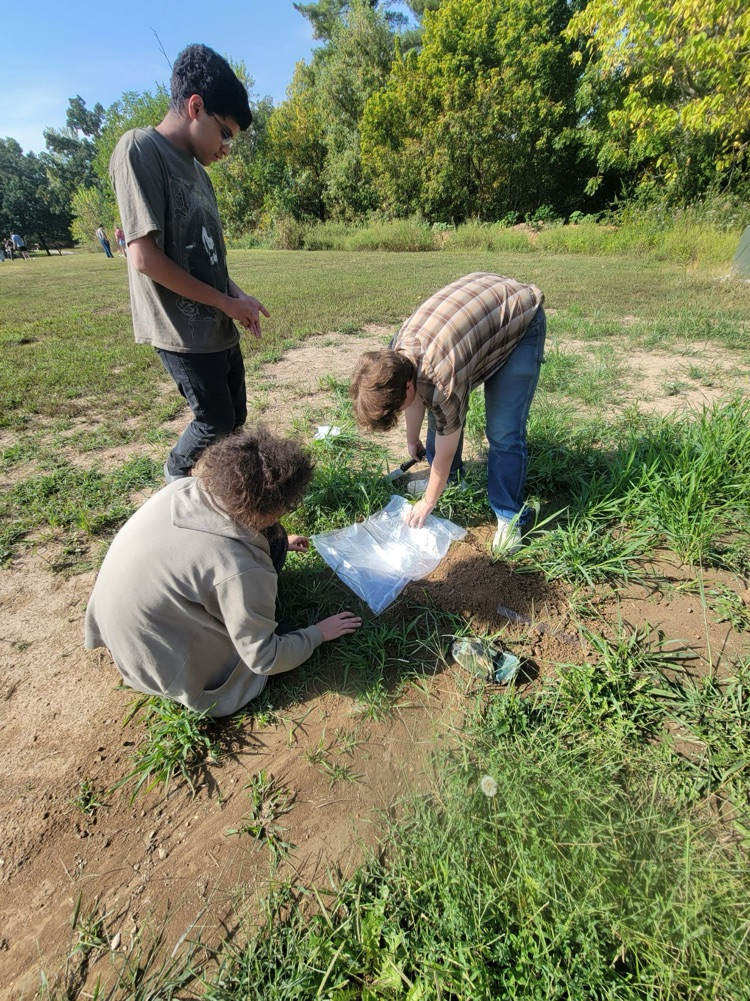 Ecology students making a water still