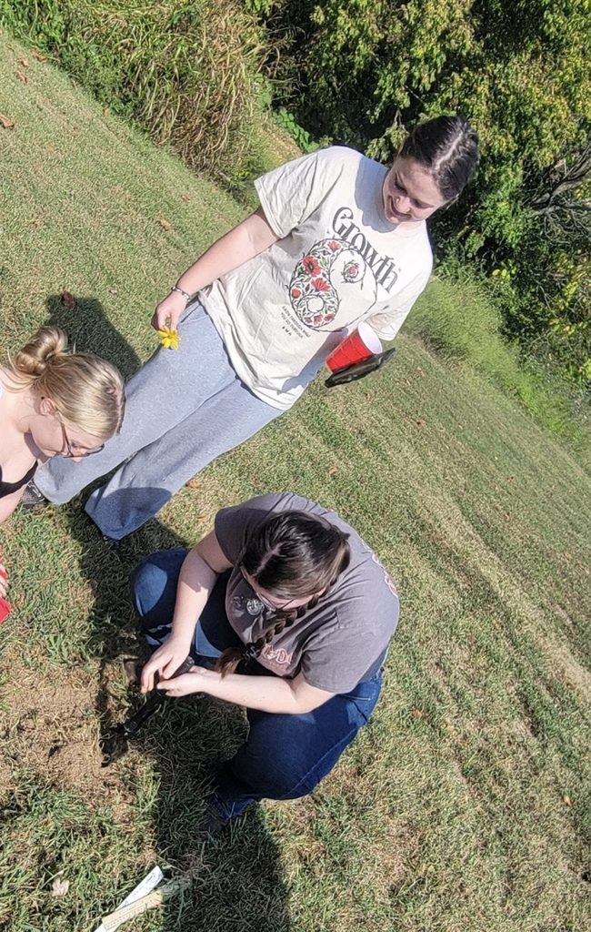 Ecology students making a water still
