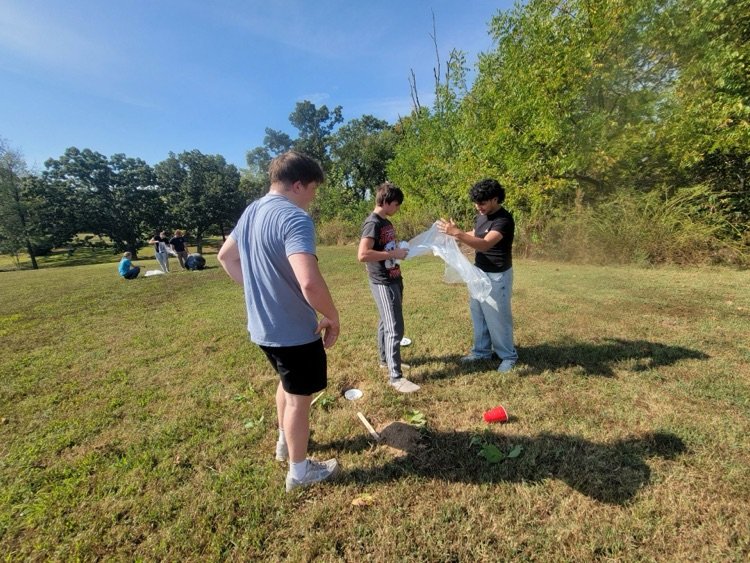 Ecology students making a water still