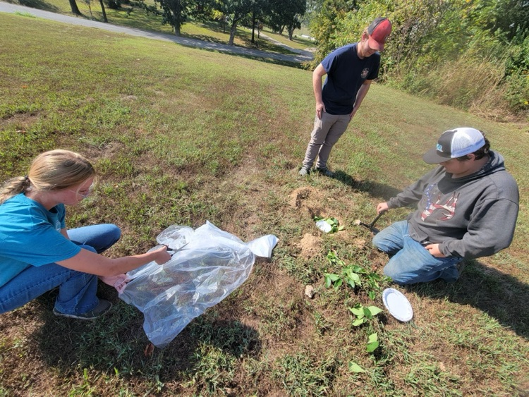 Ecology students making a water still