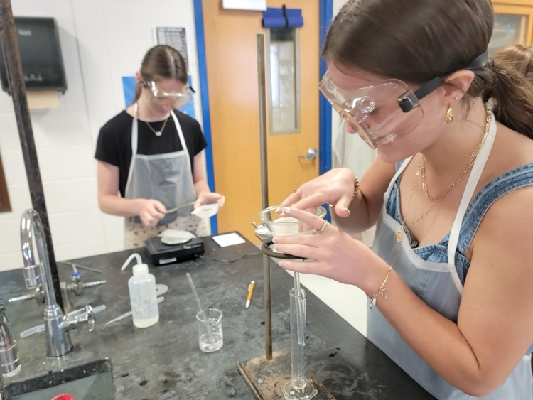 Students in a chemistry lab