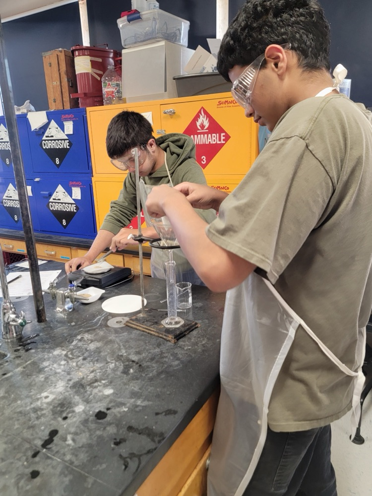 Students in a chemistry lab