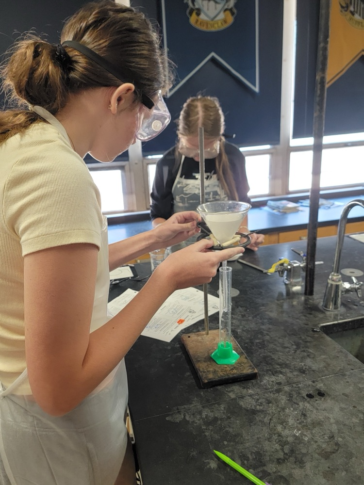 Students in a chemistry lab