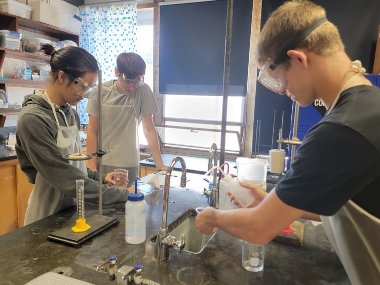 Students in a chemistry lab