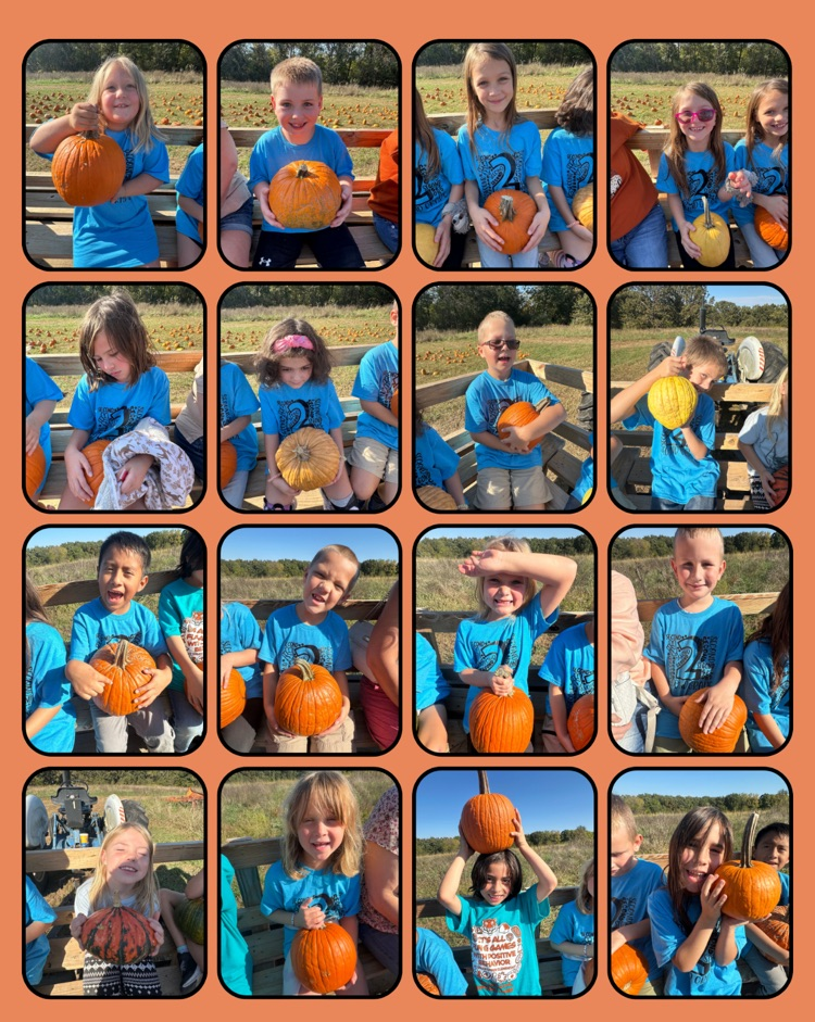 Pumpkin Patch
