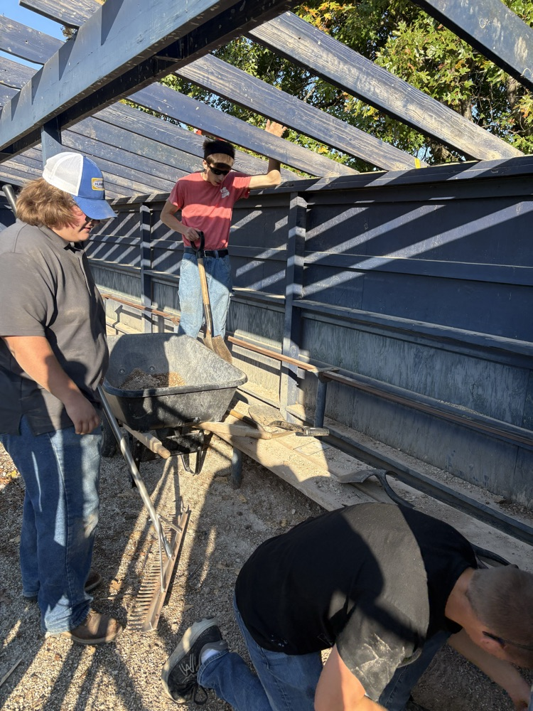 dugout renovations