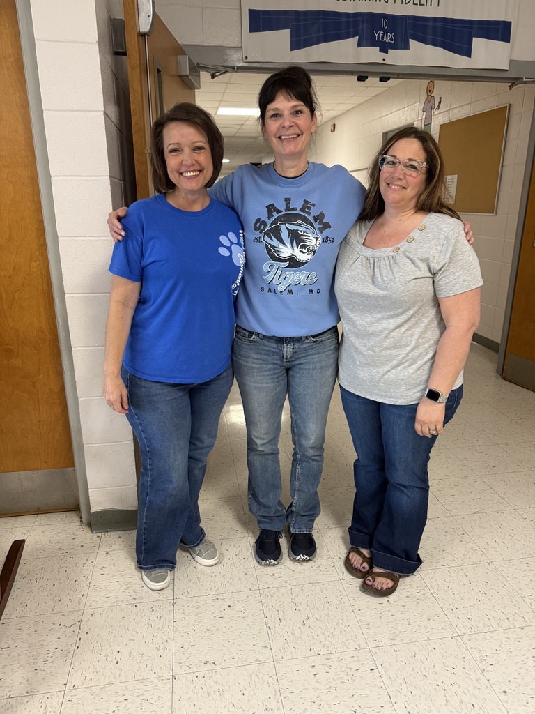 Jessica Parker (PK-4th), Amanda Walker (5th-8th), and Heather Johnson (9th-12th) gather in recognition of being named MSTA Teacher of the Year.