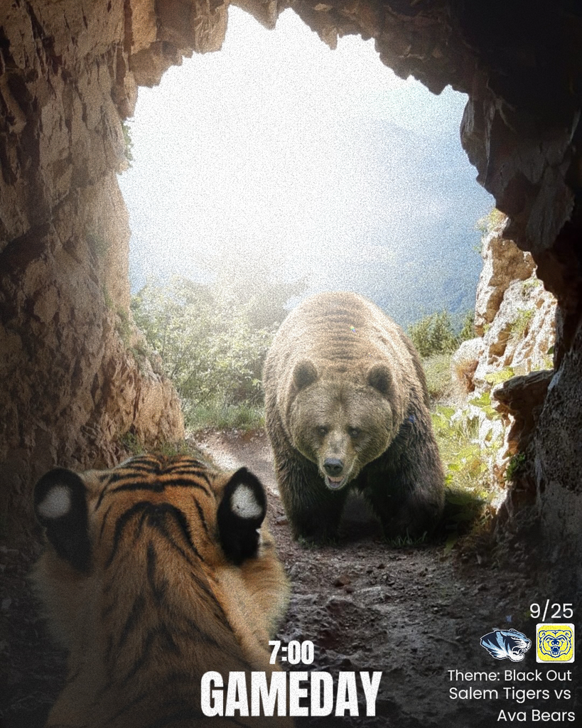 The picture features a brown bear walking into the den of a tiger. The text states that it's game day for Salem High School football. The game against the Ava bears starts at 7:00 pm and the student section theme is Black Out.