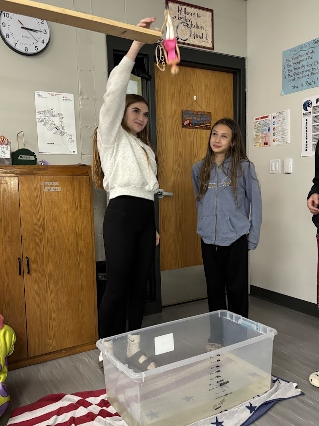 MS Kinetic and Potential Energy Lab