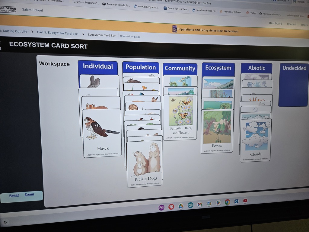 Computer screen displaying a digital Ecosystem Card Sort activity with categorized columns like Individual, Population, Community, Ecosystem, and Abiotic.
