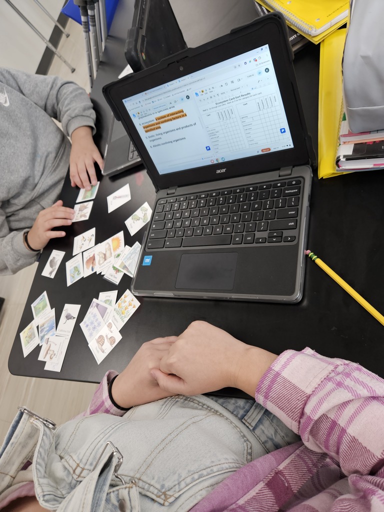 Student sitting at a desk with a laptop showing ecosystem science definitions while arranging picture cards during a hands-on class activity.