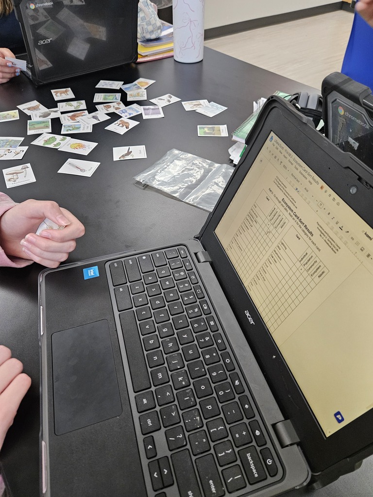 Close-up of a student working on a laptop displaying an ecosystem card-sort results worksheet alongside physical science image cards on the desk
