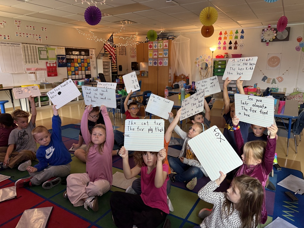 Elementary students sitting on a classroom carpet holding up whiteboards displaying their handwritten sentences.