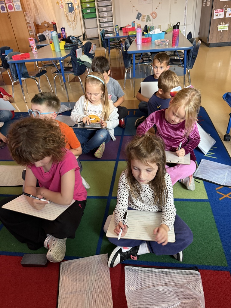 Students sitting cross-legged on a classroom rug writing on small individual whiteboards.
