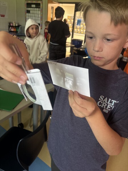 A student holds a magnifying lens craft to project an image onto a white card during a science activity.
