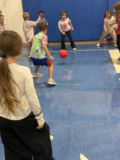 Elementary students actively playing gaga ball across the gym floor during physical education class.