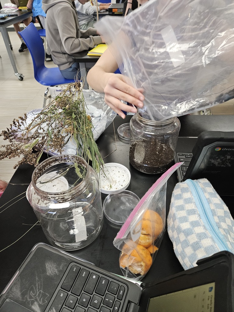 Desk setup for a science experiment with plastic jars, soil, plants, orange peels, and laptops.