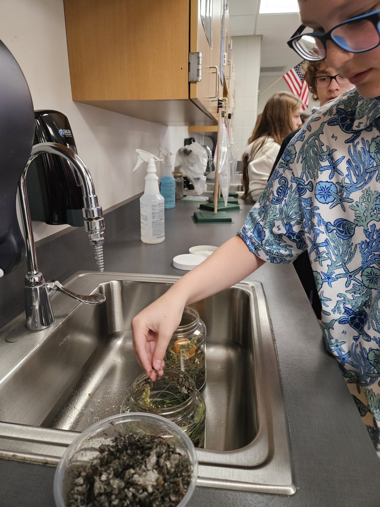 A student adding plant matter to a clear plastic jar inside a classroom lab sink during a science activity.