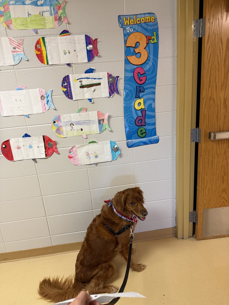 A golden retriever sitting attentively on a leash in a school hallway next to a "Welcome to 3rd Grade" wall banner surrounded by fish-shaped student artwork
