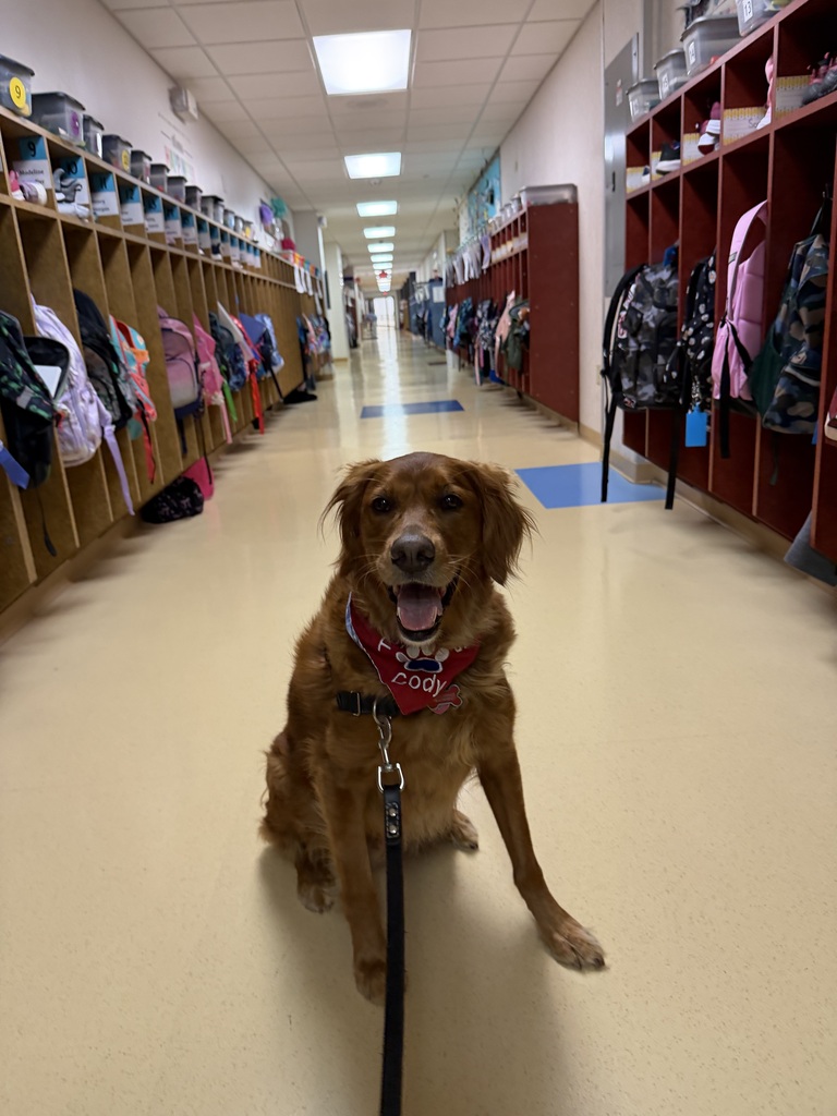 A golden retrieve dog named Cody sits happily in a school hallway lined with student cubbies.