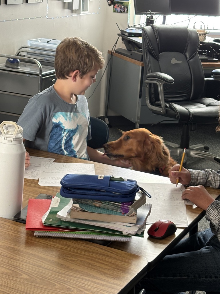A student sits at a desk working on school assignments while interacting with a friendly golden retriever therapy dog.
