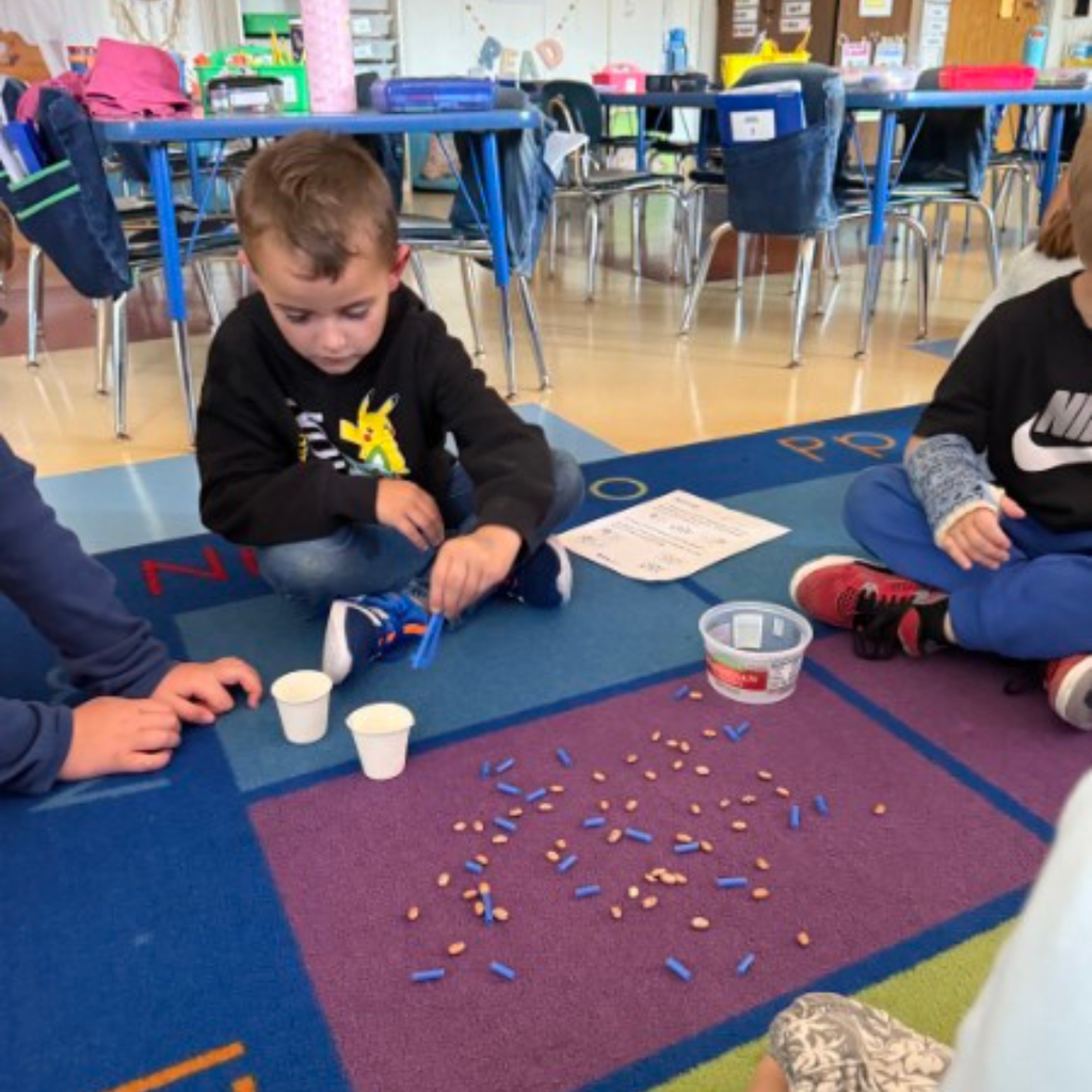 Elementary students working in small groups on a colorful classroom rug during a hands-on science lesson.