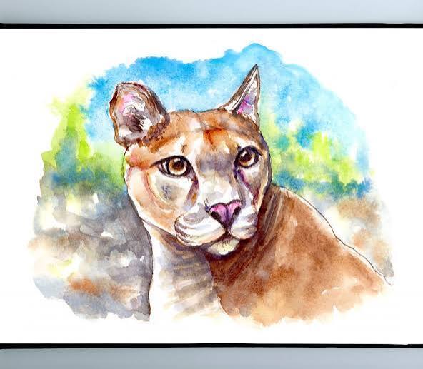 mountain lion water color