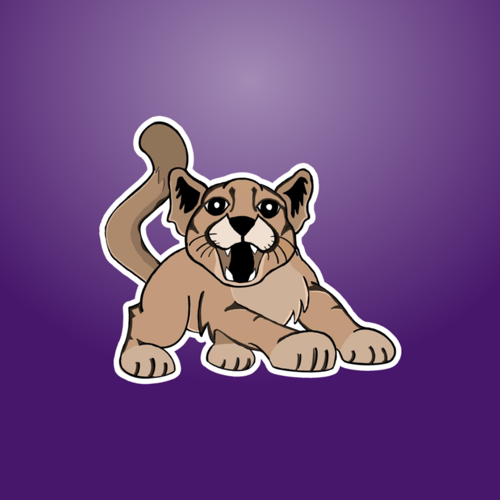 Mountain lion