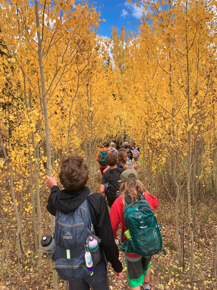 students hiking in aspen grove at KSS