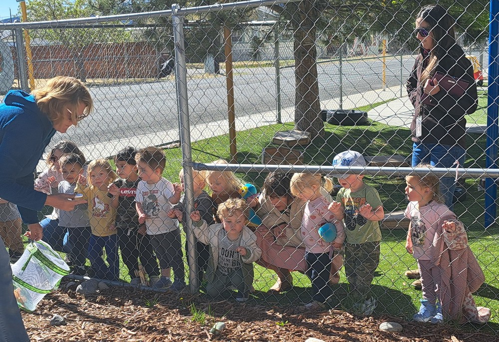 SECC students watch on the other side of a fence while a teacher releases butterflies