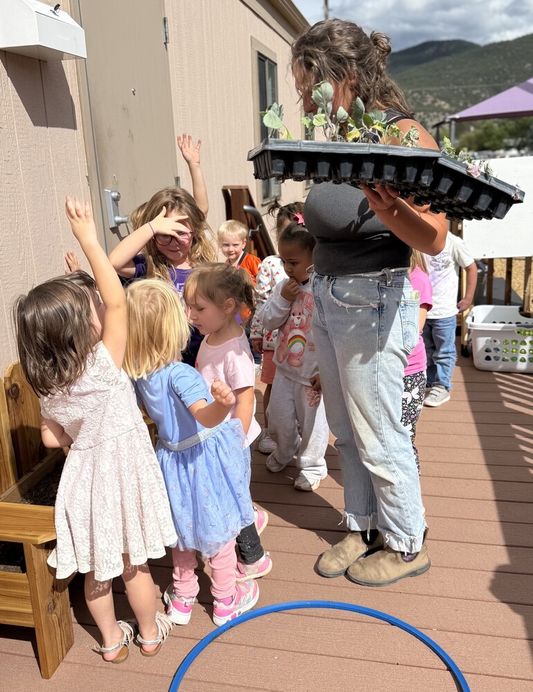 Maytal from Guidestone holds cauliflower starters and a group of SECC students stand around her raising their hand for a turn to plant.