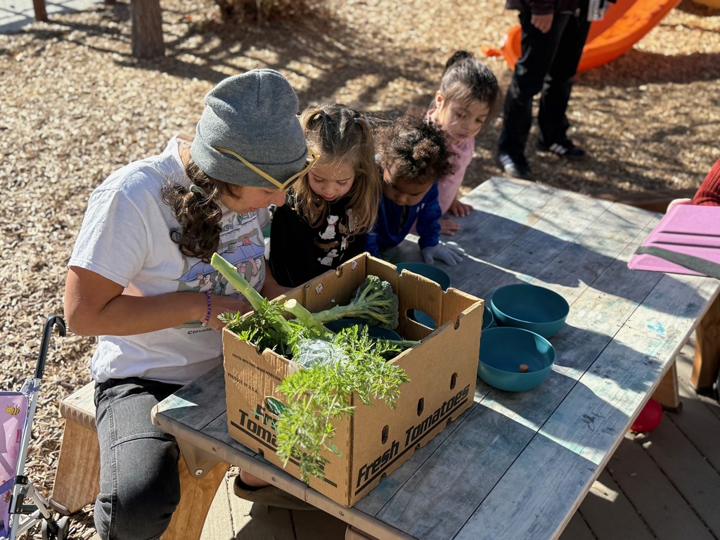 Maytal from Guidestone prepares vegetables for a tasting for our toddler students.