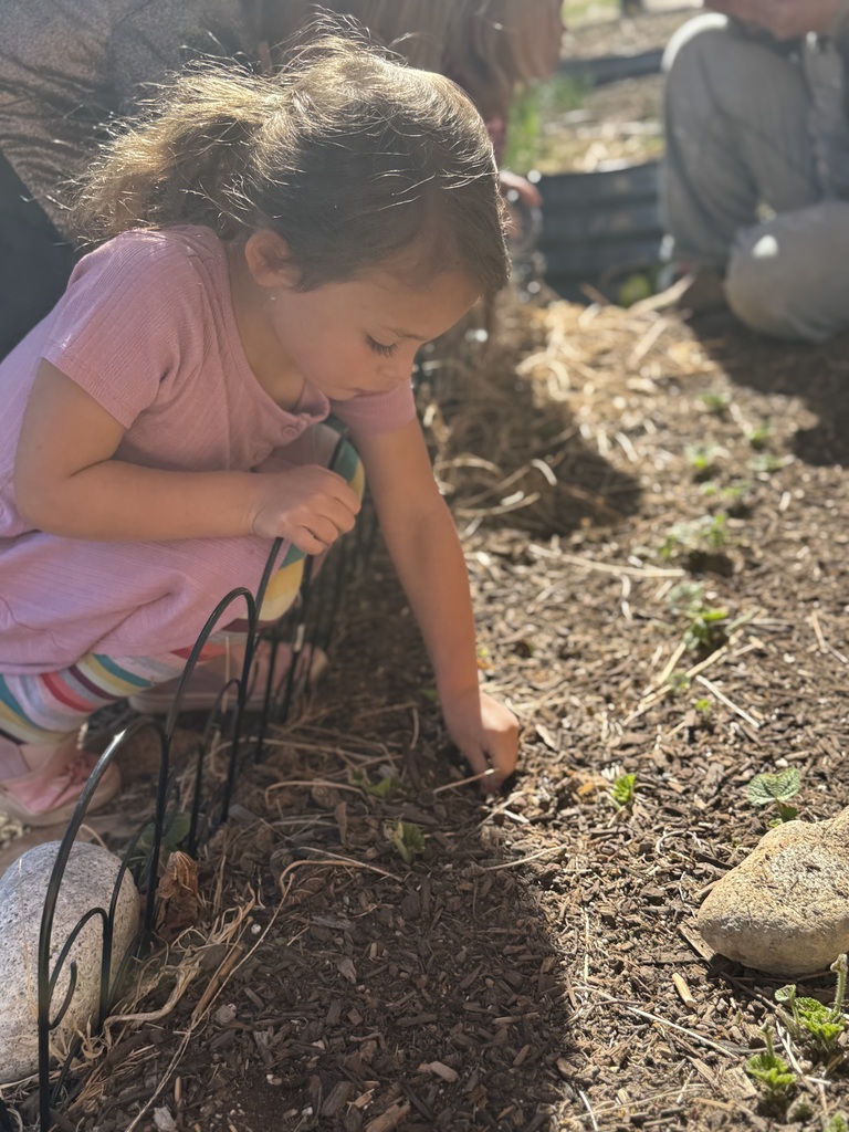 An ECC student plants a seed in a garden bed on the playground. 
