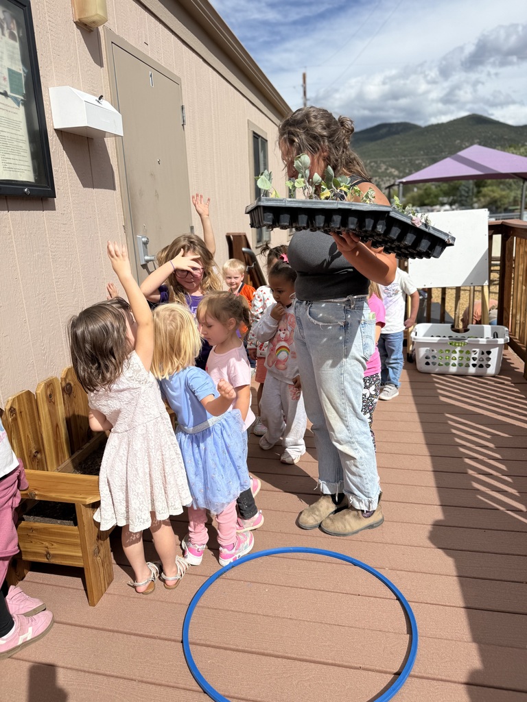 A group of SECC students raise their hand to have a turn planting vegetables in the new planter outside their classroom.