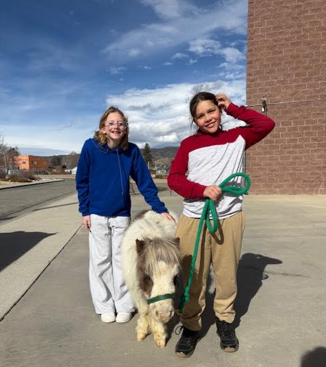 Students with mini horse, Cory, from Mini Blessings!