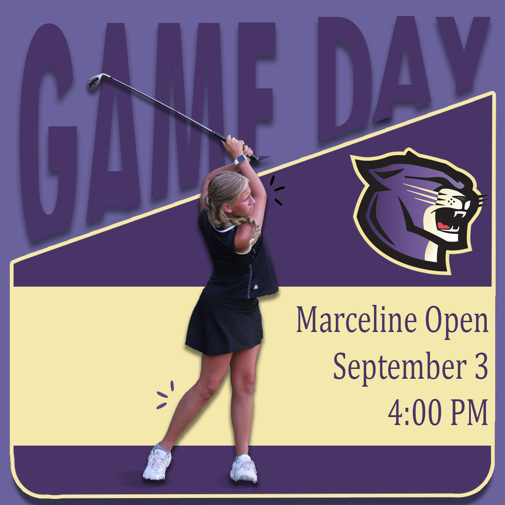 Golf Match