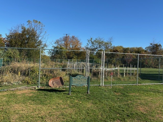 Picture of community gardens