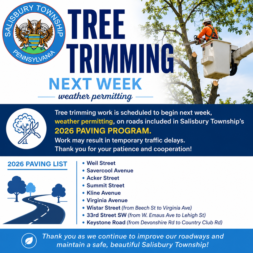 graphic of tree trimming information