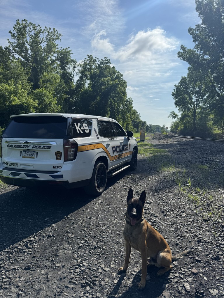 picture of echo