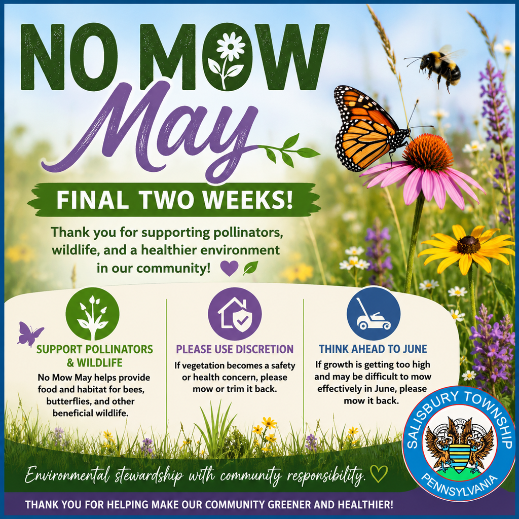graphic for final two weeks of NO MOW MAY