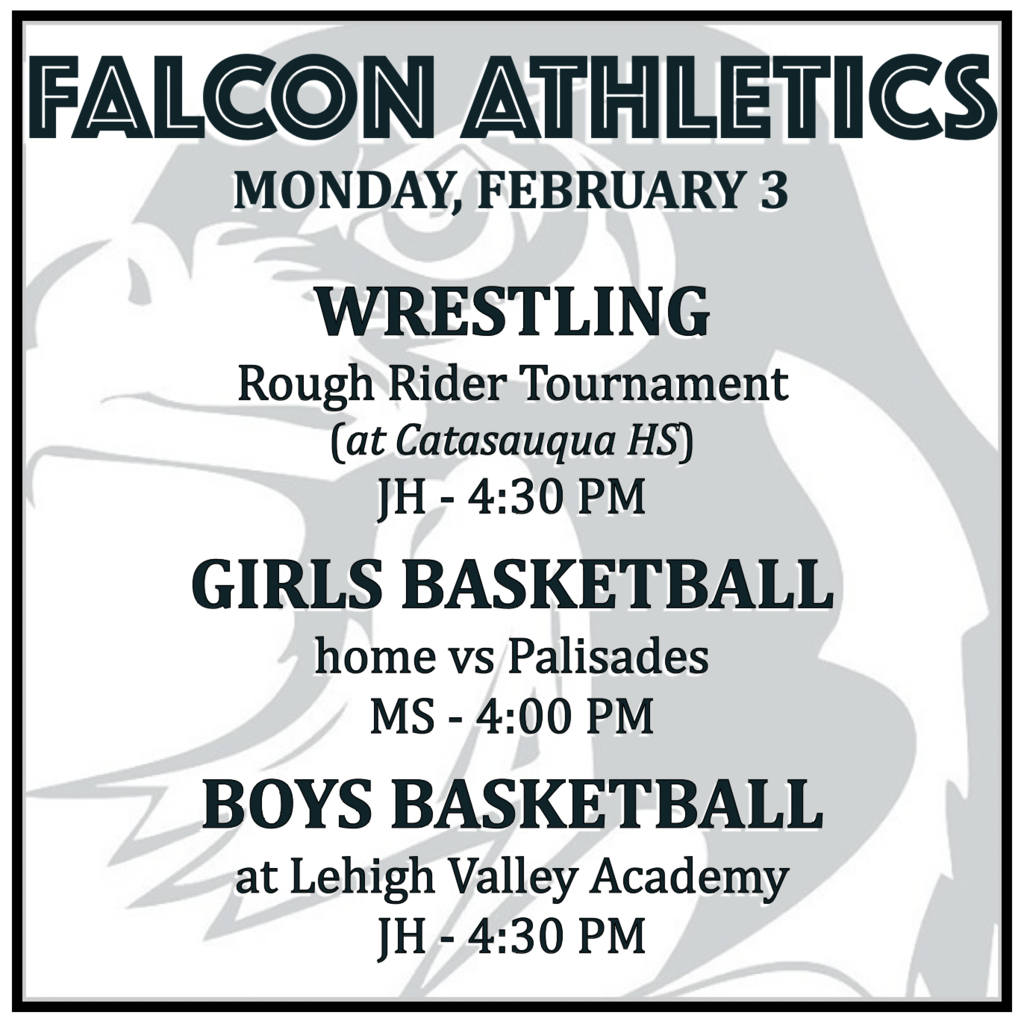 WRESTLING at Rough Rider Tournament (Catasauqua HS): JH 4:30 PM. GIRLS BASKETBALL home vs Palisades: MS 4:00 PM. BOYS BASKETBALL at Lehigh Valley Academy: JH 4:30 PM.