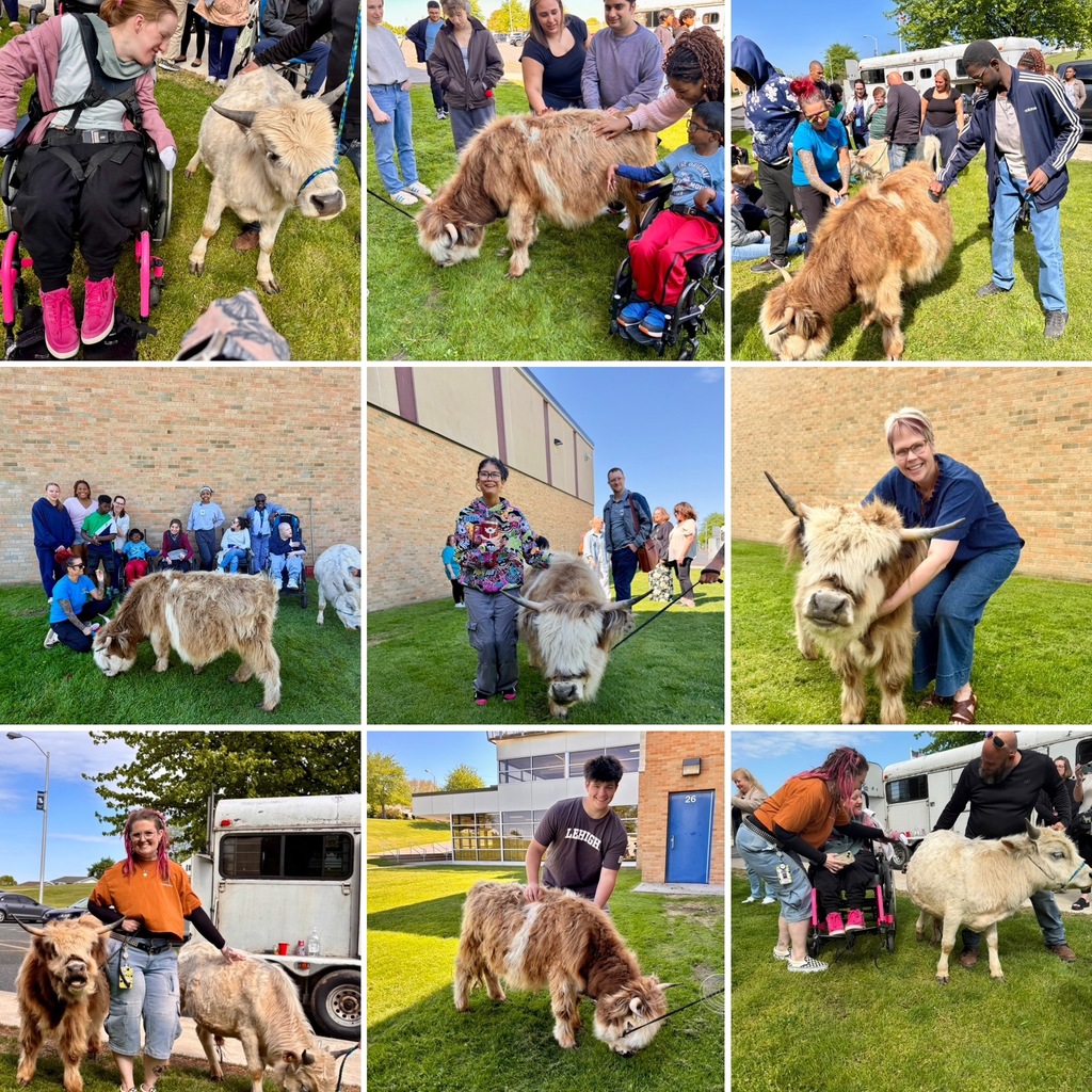 Mini Moos Collage