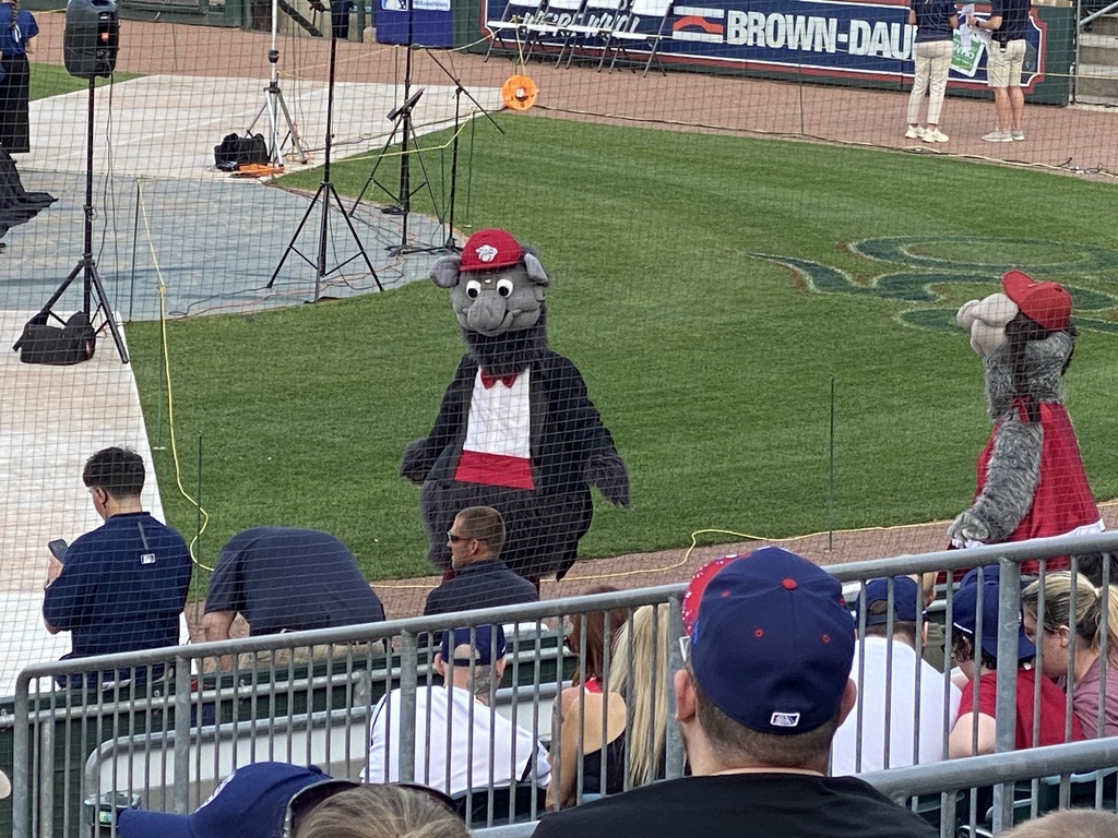 FeRROUS and FeFe on the field at Iron Pigs stadium