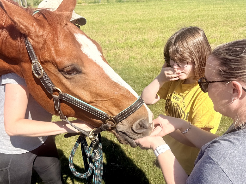 Boots and Saddles
